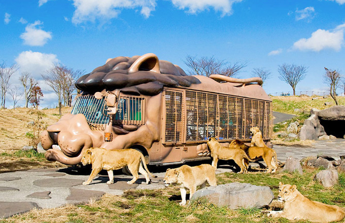 Kyushu Natural Animal Park African Safari