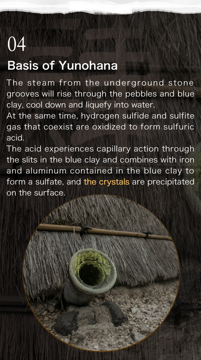 Basis of Yunohana
    The steam from the underground stone grooves will rise through the pebbles and blue clay, cool down and liquefy into water.
At the same time, hydrogen sulfide and sulfite gas that coexist are oxidized to form sulfuric acid.
The acid experiences capillary action through the slits in the blue clay and combines with iron and aluminum contained in the blue clay to form a sulfate, and the crystalsare precipitated on the surface. 